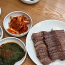 25년 4월 신혼일상 몰아보기