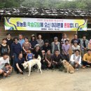 토농이