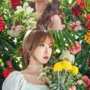 레나컴퍼니