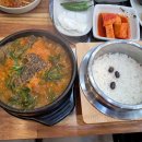 소나무집염소오리