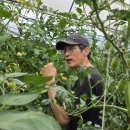 순용농장 이미지