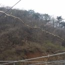 원주농장 이미지