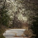 학동농장 이미지