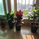 도희농장 이미지