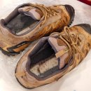 동진수선 이미지