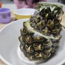 꼬꼬분식 이미지