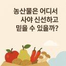 신선한 농산물, 온라인으로도 믿고 살 수 있을까? 우체국쇼핑의 진실