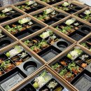 원효초교 이미지