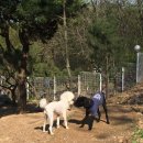 인천개공원 카페 이미지