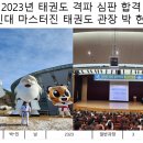 용인대 마스터진 태권도 이미지