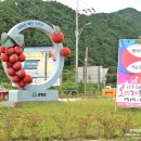 백전농장 | 2018년 지리산 백전오미자 축제 후기
