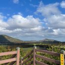 강민목장 이미지