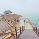 삼배목장 네이버블로그