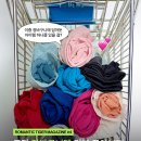 [Romantictiger Magazine] 로타 장바구니템 리뷰 모아보기 (베스트 셀러/장바구니/인기템/후기/리뷰)