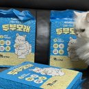 노리터 | 멍냥이 노리터 두부 모래 사용 솔직 후기