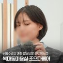 청주 복대동미용실 &#34;조으다헤어&#34; 크리닉 + 짧은단발 레이어드컷 후기
