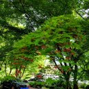 송한농장 이미지