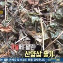 KBS 2TV 생생정보 3월13일 택시맛객 산양삼삼계