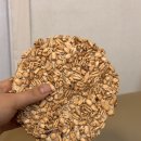 이부자 | 무조건 보이면 쟁여와야 하는 속초 중앙시장 맛집 이부자