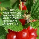 ♤유익한 상식♧ 이미지