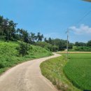 갯벌생태 체험장 | 삶의 체험현장!! 맛조개핫스팟 진산리 어촌계 갯벌체험장 후기