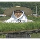 이안왁싱