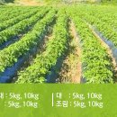 천기농장 이미지