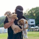 그라운독 이미지