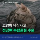 정강동물병원 네이버블로그