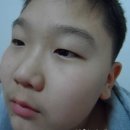 꼬맹이화장품