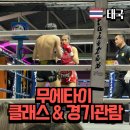 하이브짐(Hive Gym) | 치앙마이 액티비티 올드타운 무에타이 스팅하이브(시간표, 가격) &amp; 나이트 바자 무에타이 경기 관람 후기