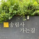 송림사 가는길 팔공산카페 분위기 좋은 곳