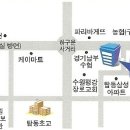 탑동크로커다일 이미지