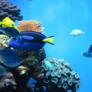 아름다운바다 이미지