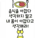 에스엔안 이미지