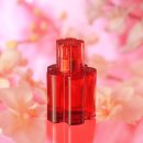 레드플라워(RED FLOWER) 이미지