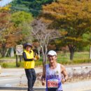 태안 전국어울림마라톤대회 사진-1 이미지