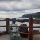 예래동 하예 포구 | [올레길8 역방향]:8코스 후기/올레길 추천/소요시간 (1)