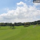 에스케이핀크스주식회사 이미지