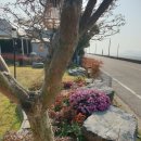 참살이힐링 펜션 | 바다 감성 가득! 대부도풀빌라 해안29번가 펜션에서 보낸 힐링 하루