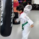 베스트 태권도장 이미지