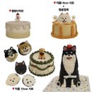 댕댕반점 이미지