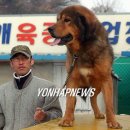 오수로 이미지
