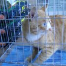 순풍동물병원 이미지