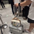 아이스다이빙 | 세부 스쿠버다이빙 빅보스 다이빙샵 후기 | 숙소부터 식사,분위기까지 내돈내산