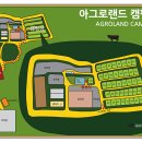 미쳤다! 인생샷 폭발하는 아그로랜드 태신목장 수레국화, 지금 안 가면 후회각