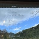 나무와그릇 이미지
