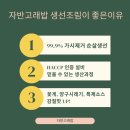 고래 생선아줌마 이미지