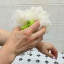 더케이워시 이미지