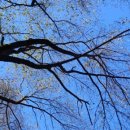 은판나비화장실 이미지